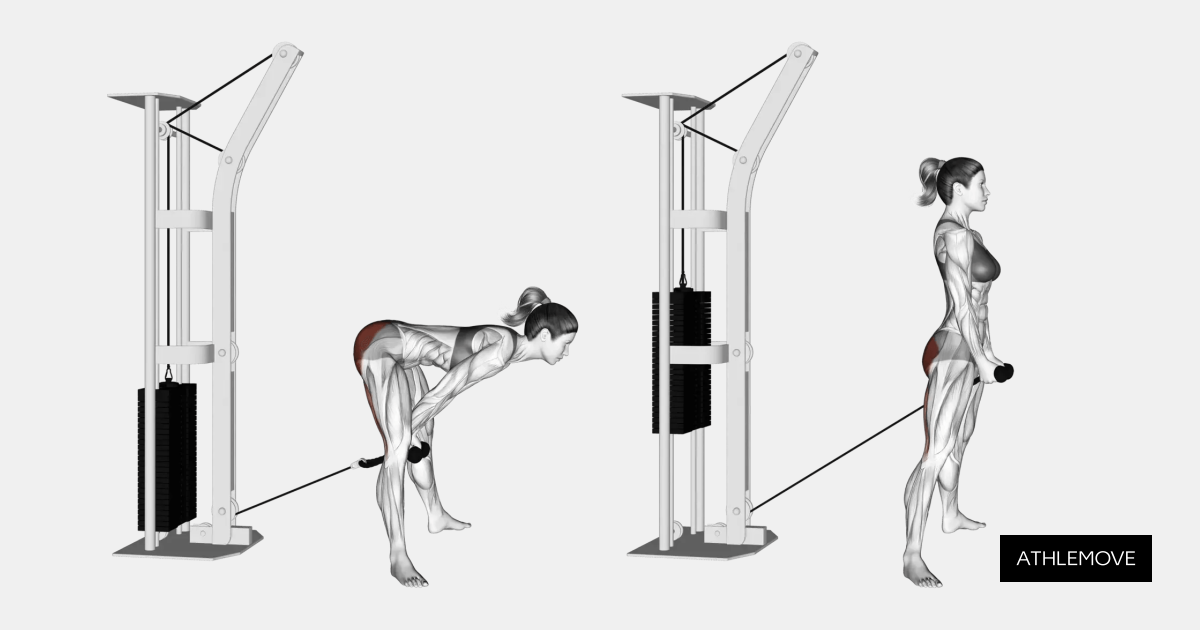 Cable Pull Through: Guide, Muscles Worked, Tips | Athlemove