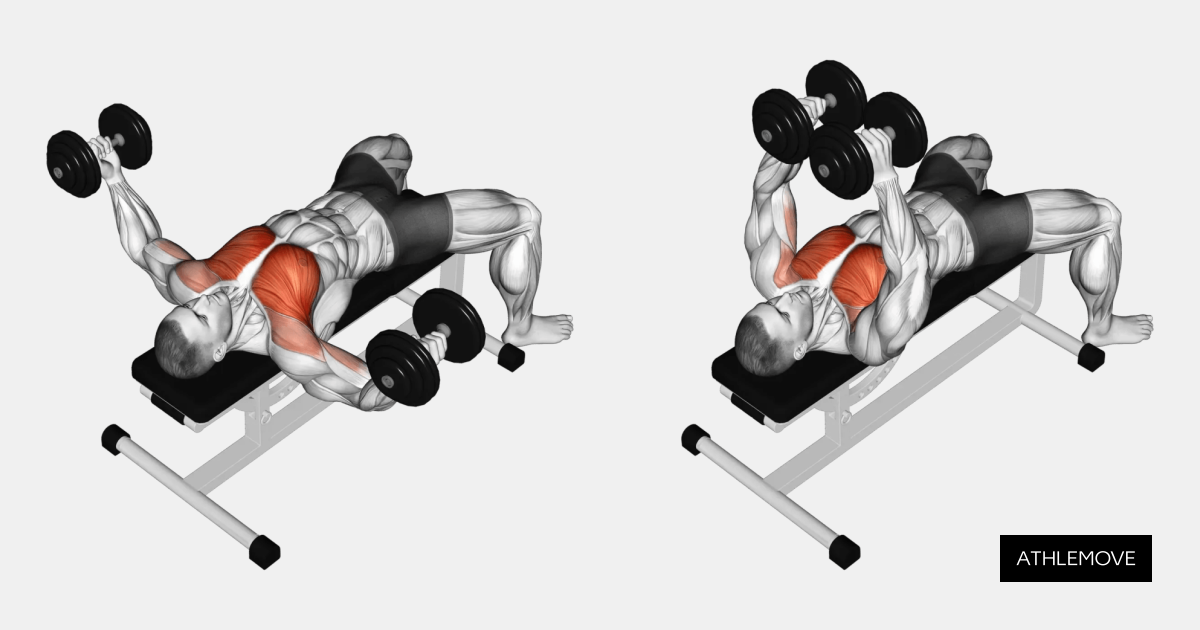 Dumbbell Fly: Guide, Muscles Worked, Tips | Athlemove