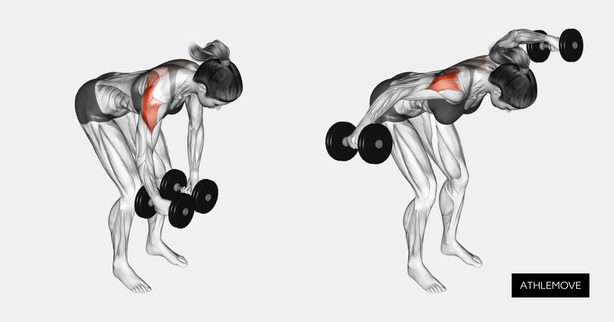 Dumbbell Rear Delt Fly: Guide, Muscles Worked, Tips | Athlemove